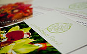 Cymbidium Floral